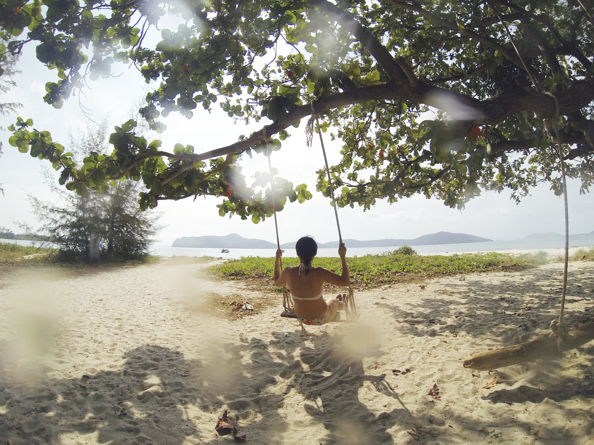 Palmestrand på Koh Samui