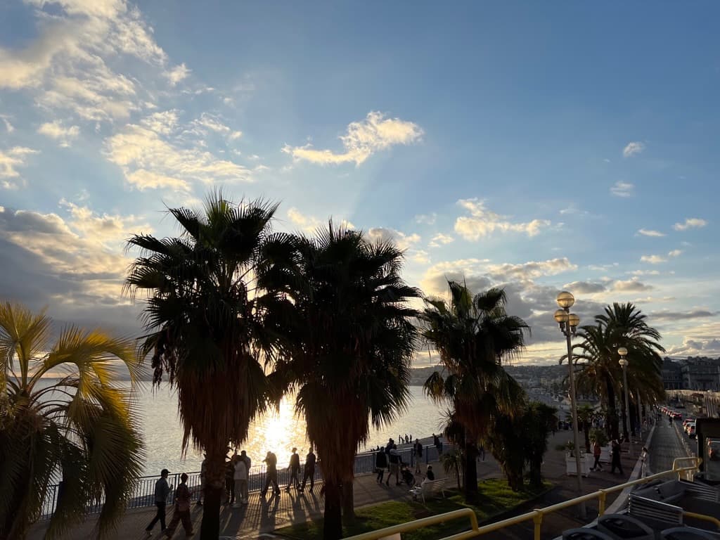 Palmer ved Promenade des Anglais