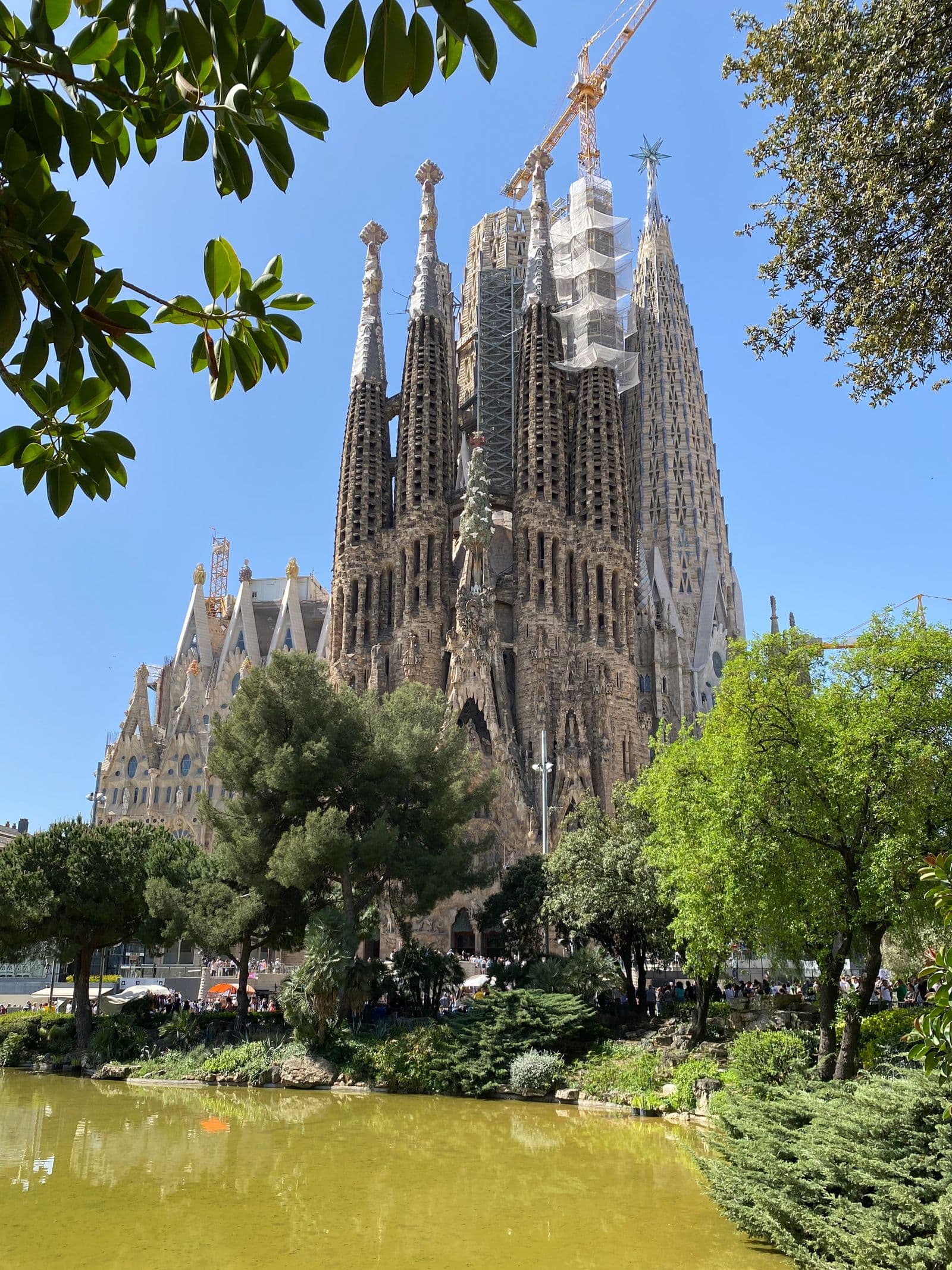 Sagrada Família bak trærne og dammen i Barcelona